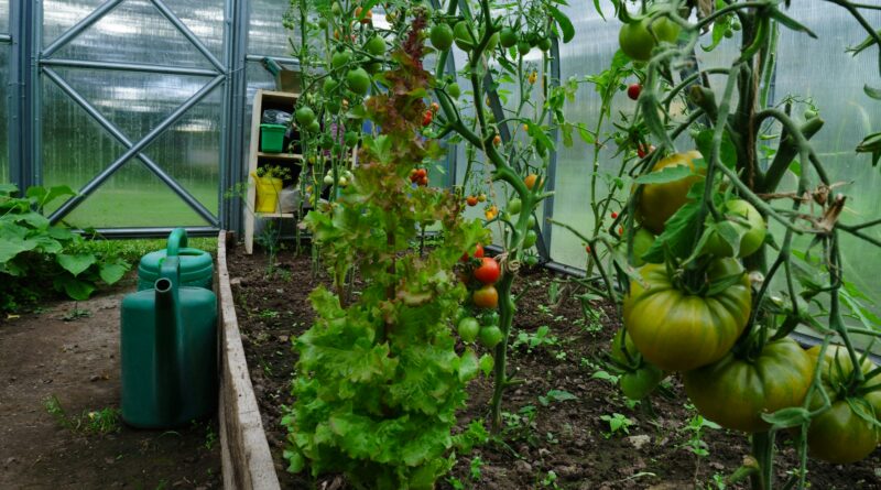 sustainable living
