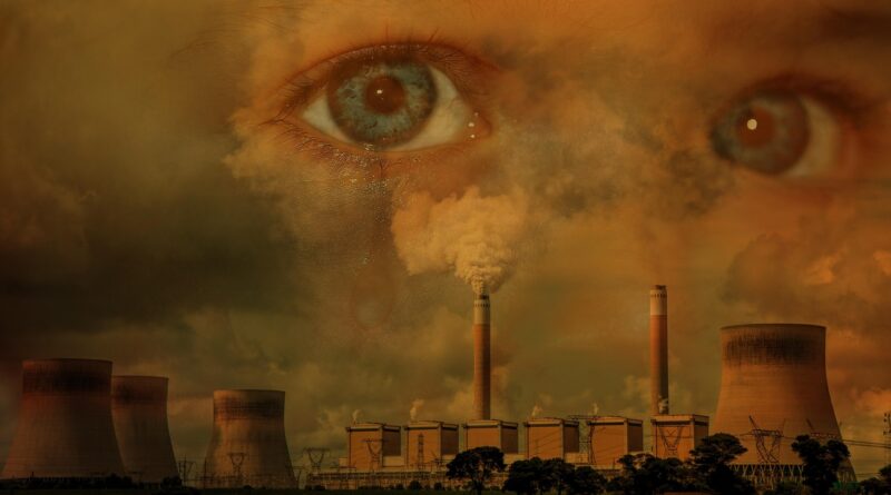 eco friendly homes, sustainability