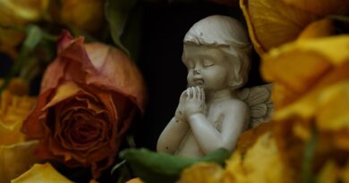 Love, Mangoes, and the Private Cinemas in Our Heads