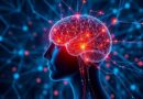 artificial intelligence and human cognition