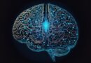 fear of failure, neuroscience