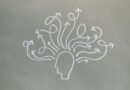 Types of Irrational Thinking: Biases, Fallacies & Distortions
