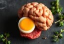 Best Protein Foods for Focus and Mental Performance